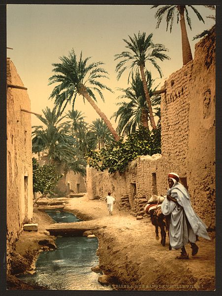 https://commons.wikimedia.org/wiki/File:Street_in_the_old_town,_I,_Biskra,_Algeria-LCCN2001697849.jpg