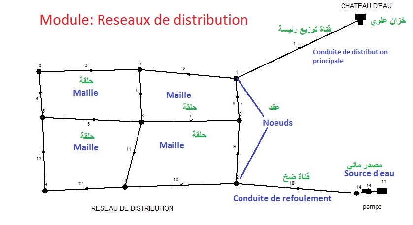 شكل شبكة توزيع للمياه الصالحة للشرب